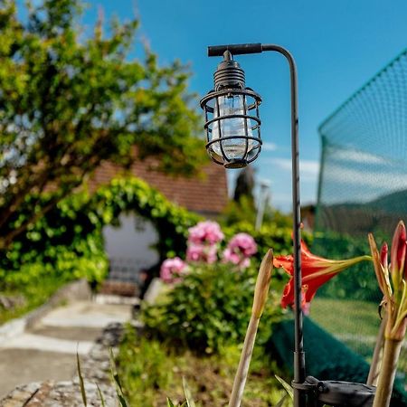Green Garden Apartments Herceg Novi Zewnętrze zdjęcie