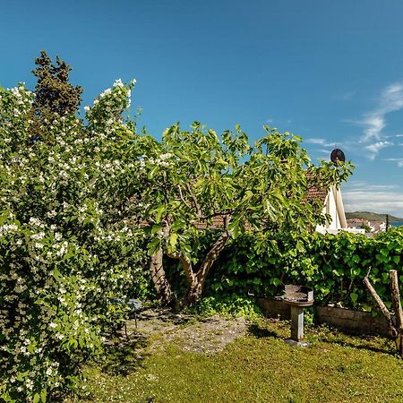 Green Garden Apartments Herceg Novi Zewnętrze zdjęcie