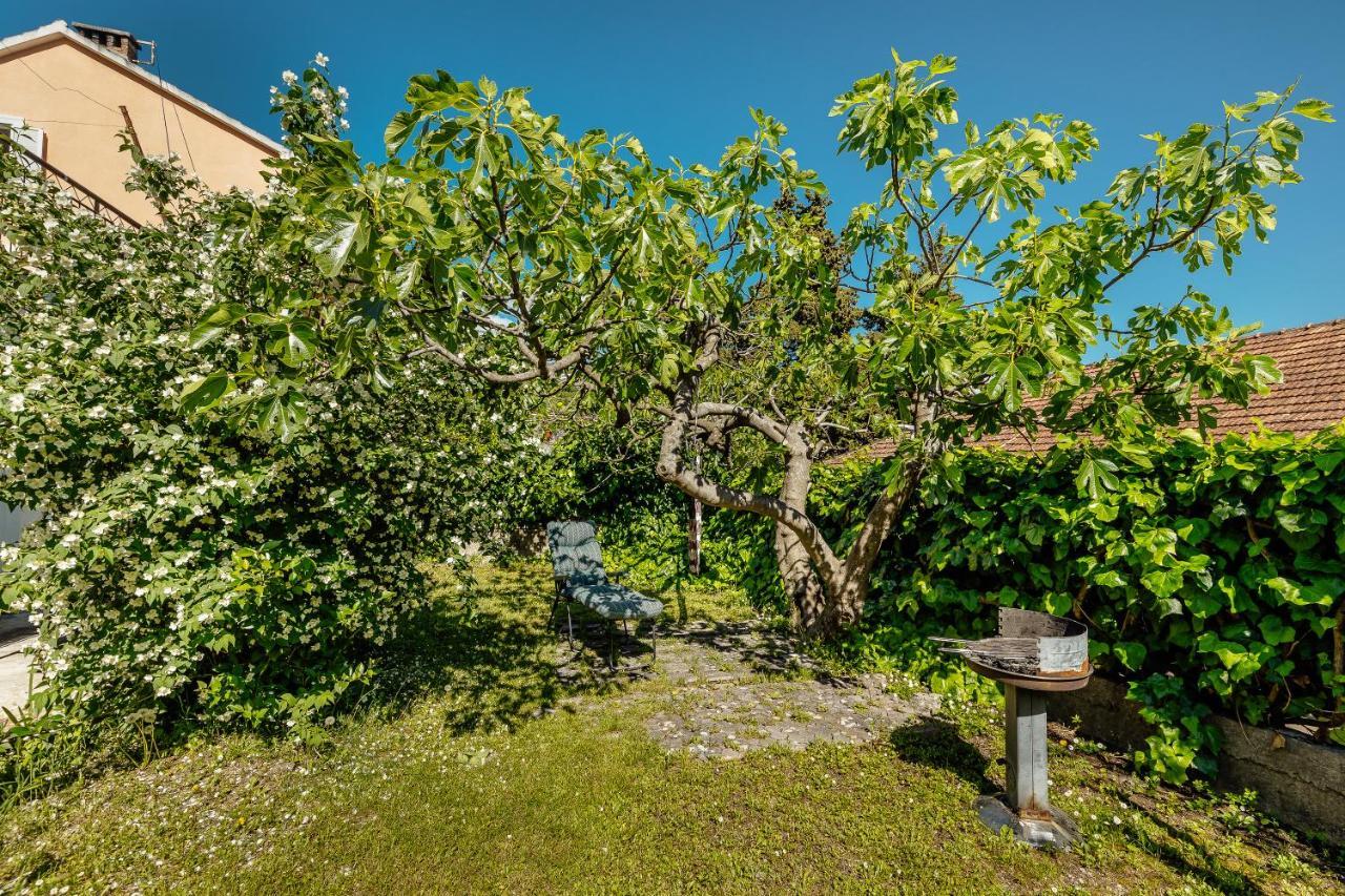 Green Garden Apartments Herceg Novi Zewnętrze zdjęcie